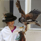 A falconer waiting to show her skills to the King and Queen (Radovan Stoklasa, Reuters / Scanpix)